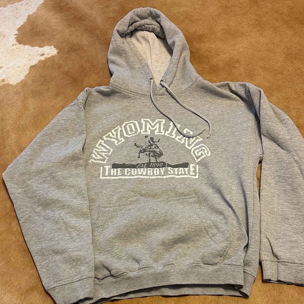 Gray Wyoming Hoodie